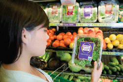 Think Globally, Eat Locally